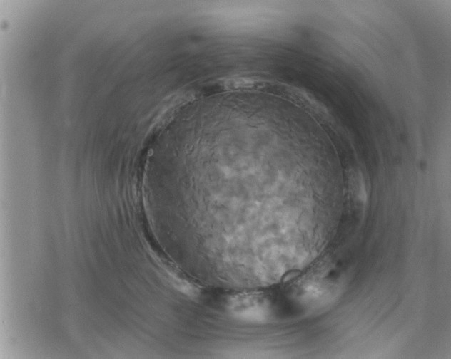 X0000075860761200609221755