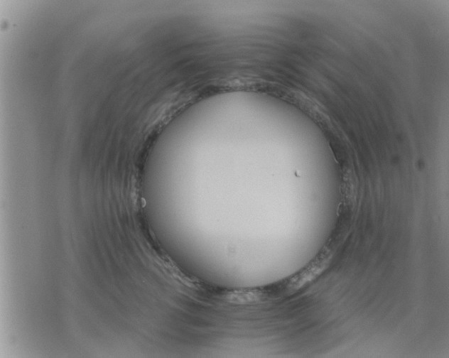 X0000075860762200609221755