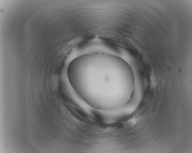 X0000075860764200609221755