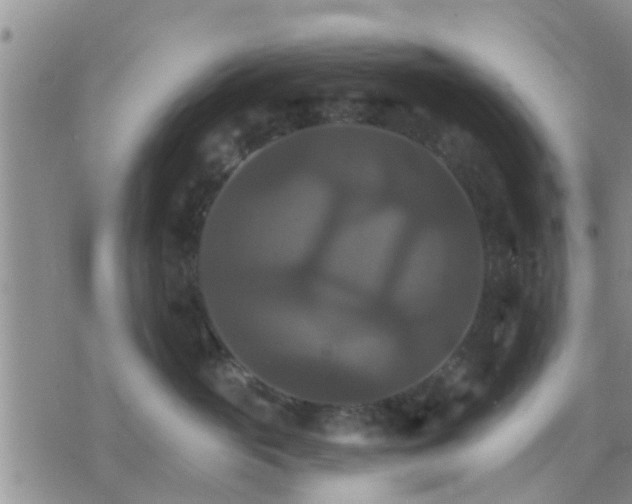 X0000075860765200609221755