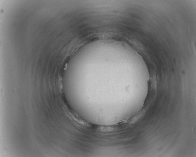 X0000075860766200609221755