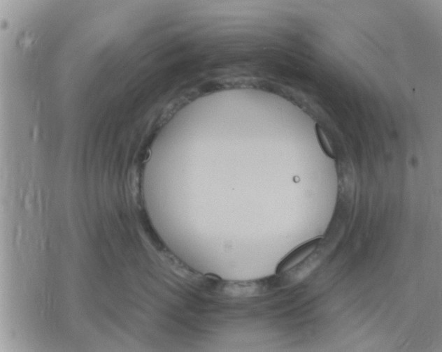 X0000075860767200609221755