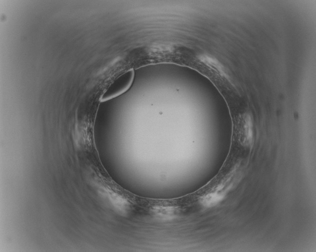 X0000075860770200609221754