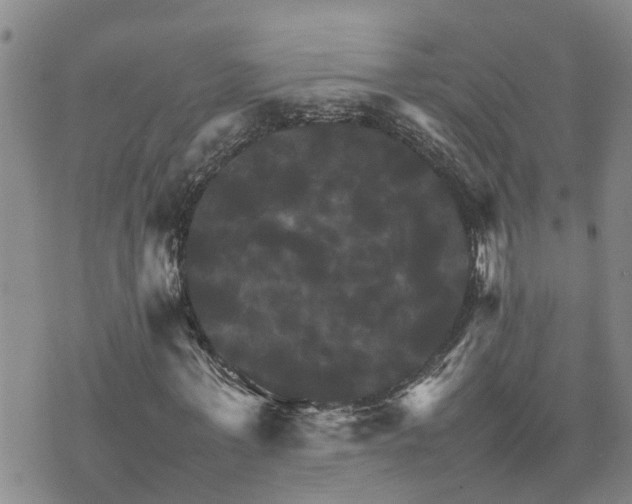 X0000075860771200609221754