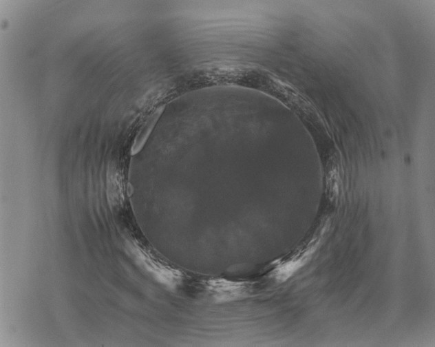 X0000075860772200609221754