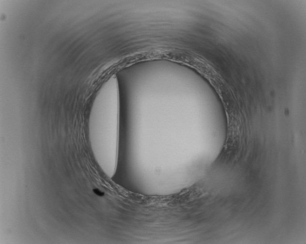 X0000075860773200609221754