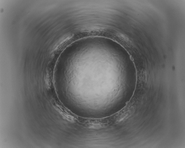 X0000075860774200609221754