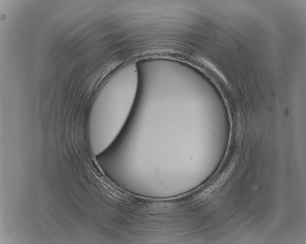 X0000075860777200609221754