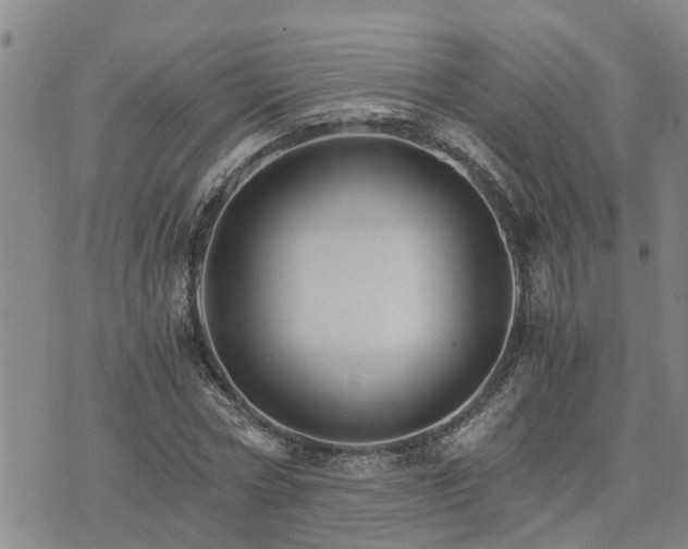 X0000075860778200609221754