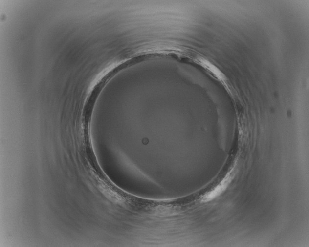 X0000075860779200609221754