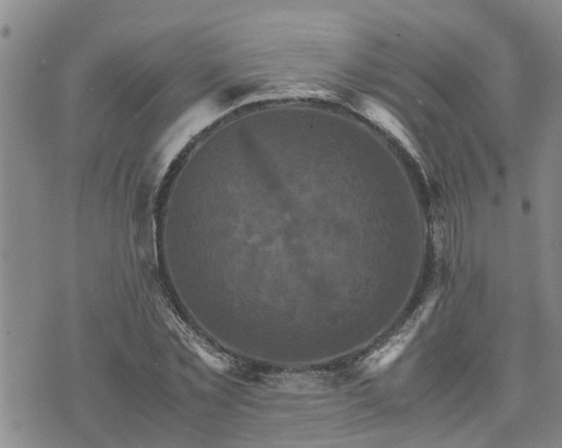 X0000075860781200609221754