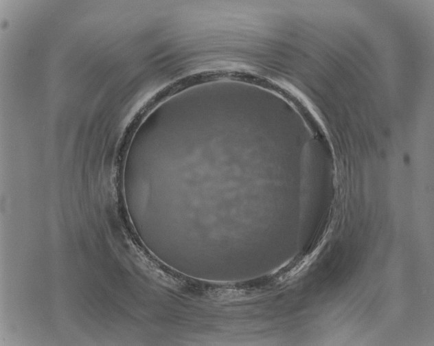 X0000075860783200609221754