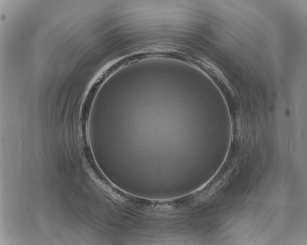 X0000075860784200609221754