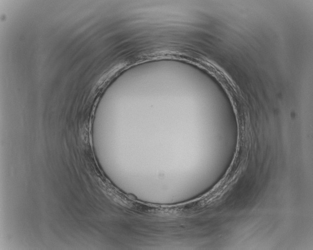 X0000075860785200609221754