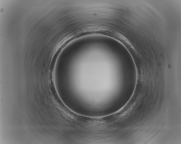 X0000075860786200609221754