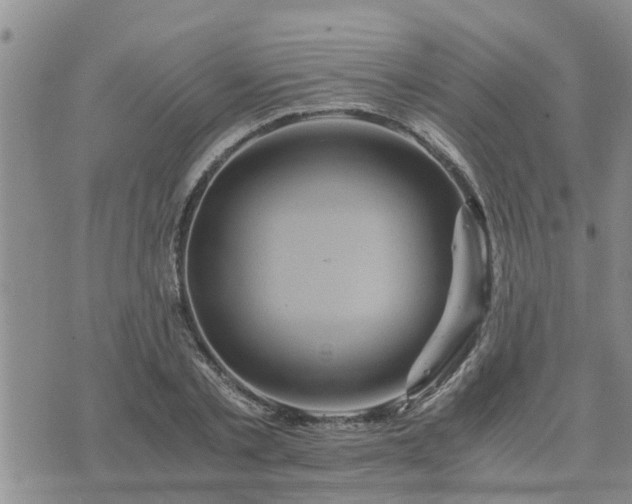 X0000075860789200609221754