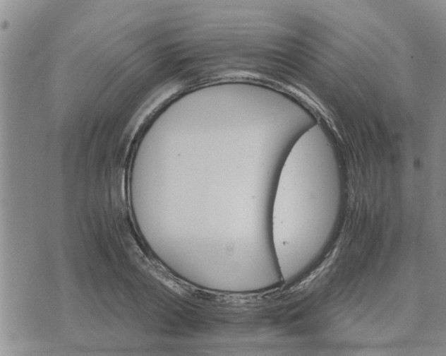 X0000075860790200609221754