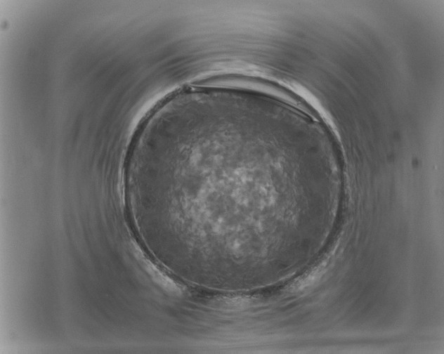 X0000075860791200609221754