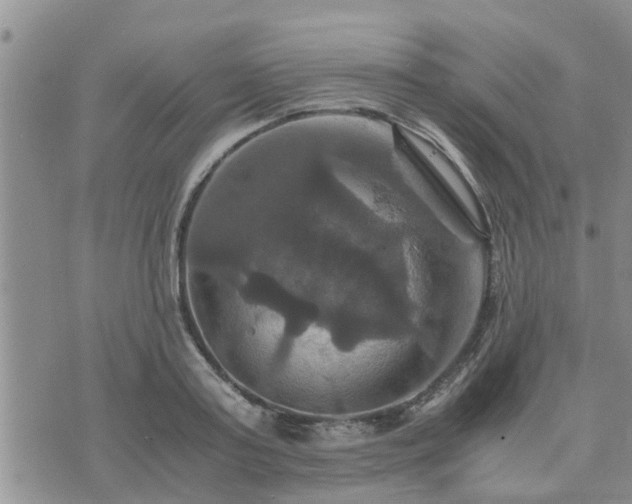 X0000075860795200609221754