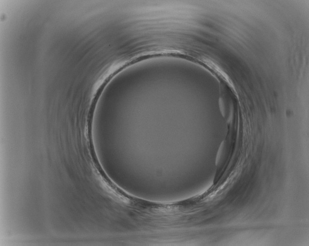 X0000075860797200609221754