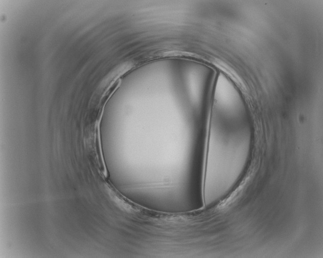 X0000075860801200609221754