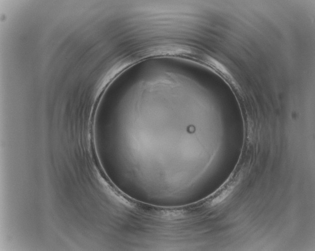 X0000075860802200609221754