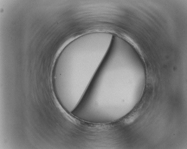 X0000075860803200609221754