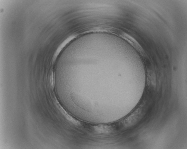 X0000075860804200609221754