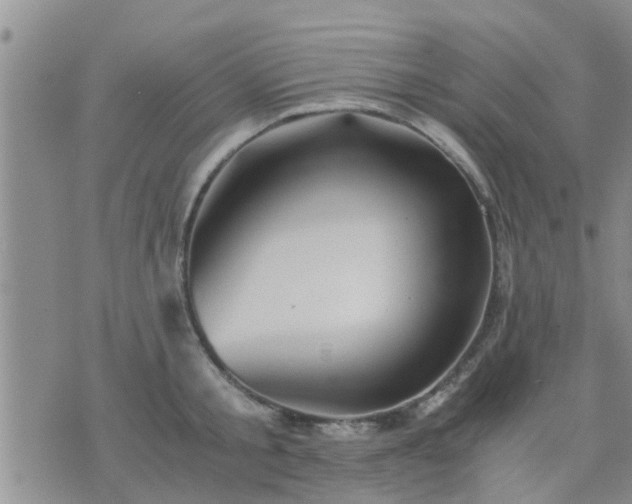 X0000075860805200609221754