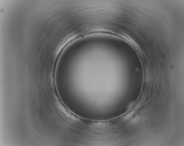 X0000075860806200609221754