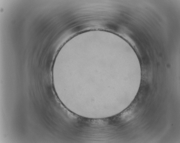 X0000075860807200609221754