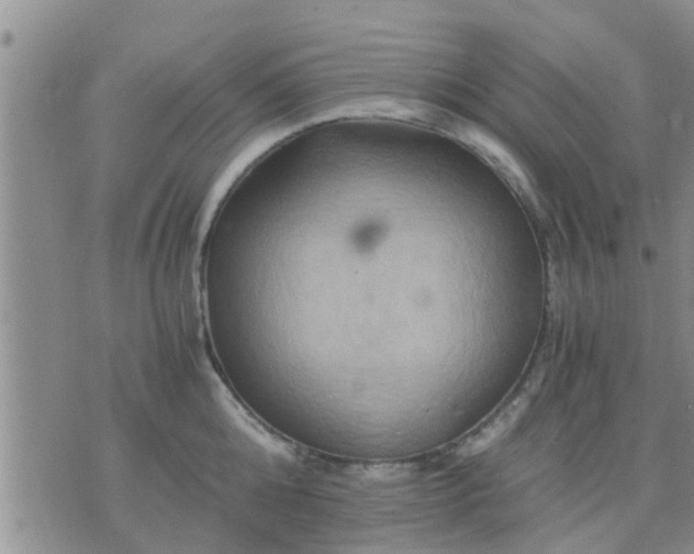 X0000075860808200609221754