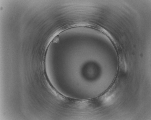 X0000075860810200609221754