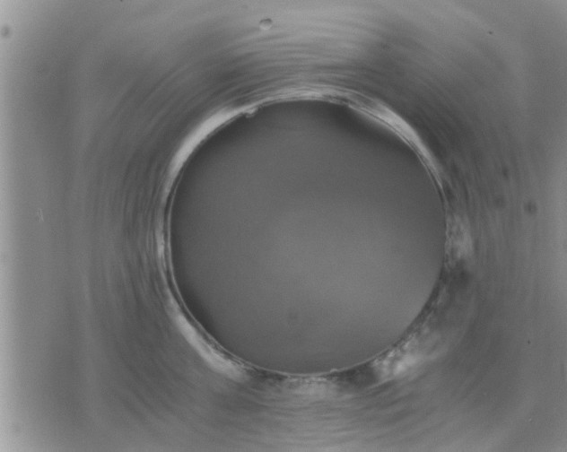 X0000075860811200609221754