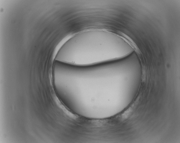 X0000075860812200609221754