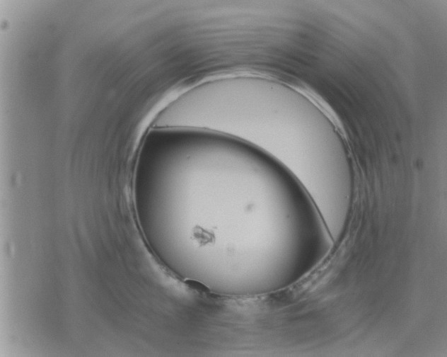 X0000075860813200609221754