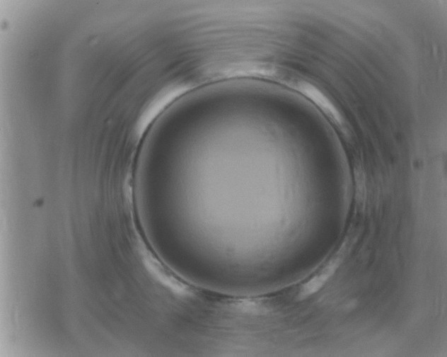 X0000075860814200609221754