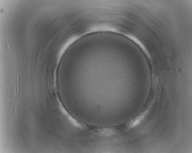 X0000075860815200609221754