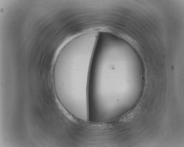 X0000075860816200609221754