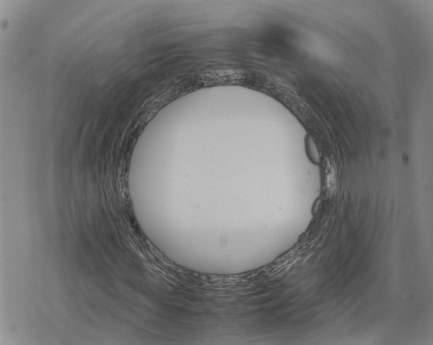 X0000075860819200609221753