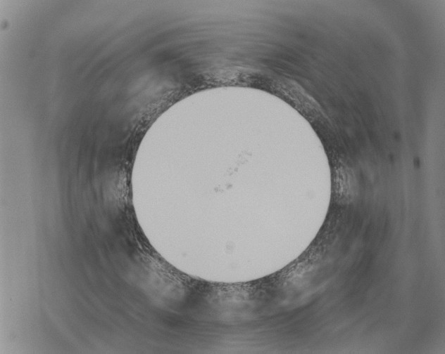 X0000075860820200609221753