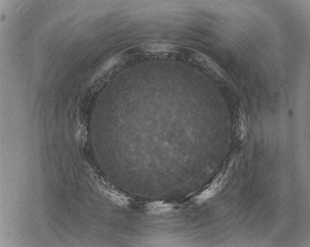 X0000075860821200609221753