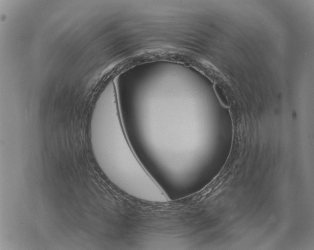 X0000075860822200609221753