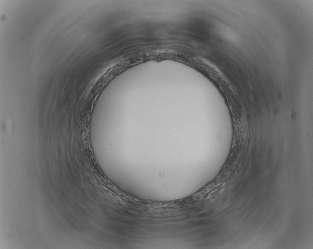 X0000075860823200609221753