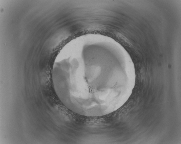 X0000075860824200609221753