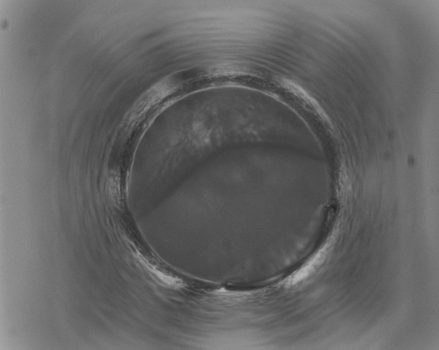 X0000075860825200609221753