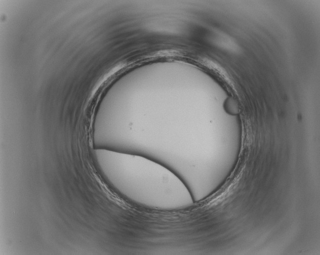 X0000075860827200609221753