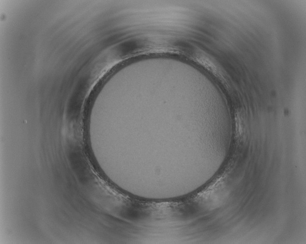 X0000075860828200609221753