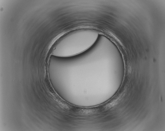 X0000075860829200609221753