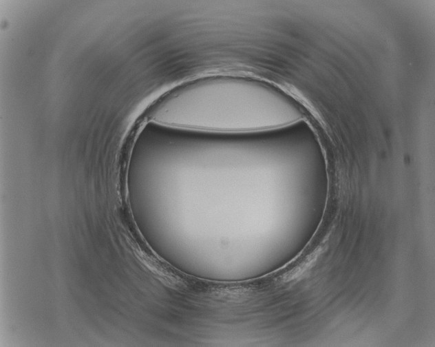 X0000075860830200609221753